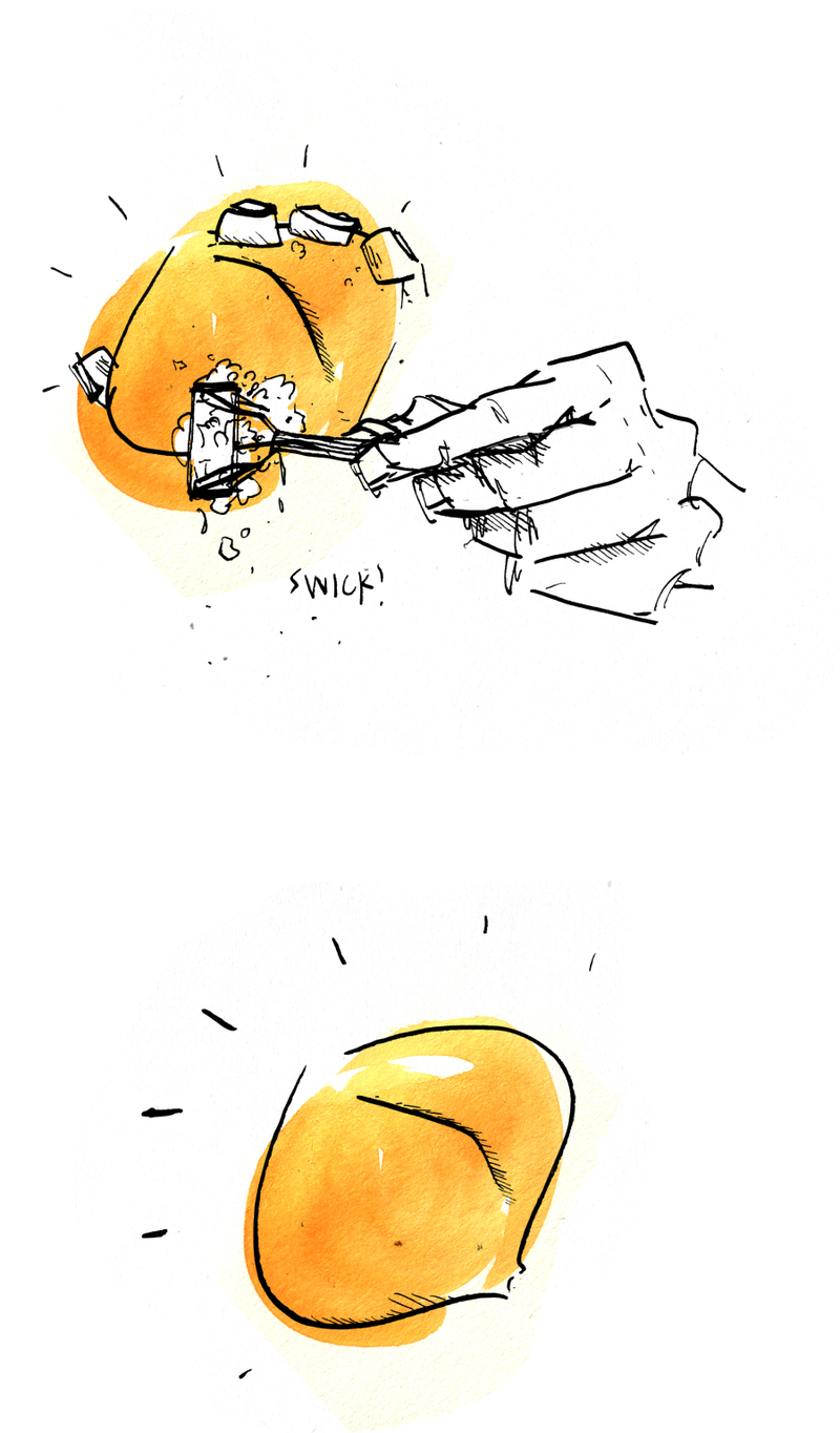 Illustration for article titled Nectarines Exposed